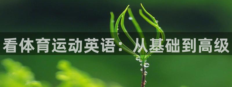 球派体育下载并安装