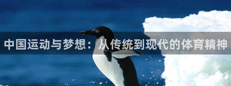 球派体育软件下载