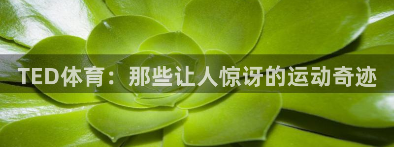 球派体育公司：TED体育：那些让人惊讶的运动奇迹