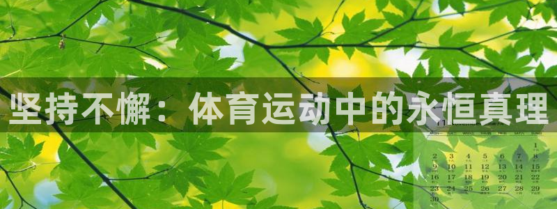 球派体育最新版