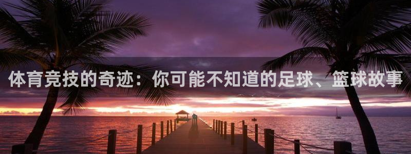 球派体育app旧版本