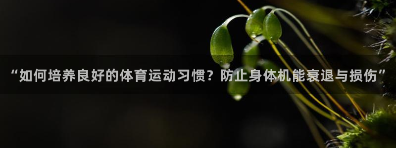 球派体育官网下载