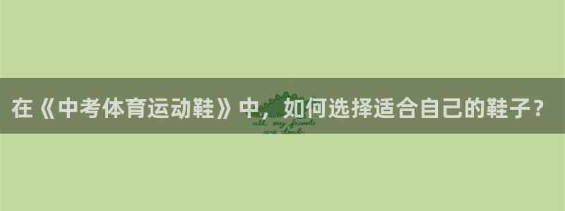 球派体育看球免费吗