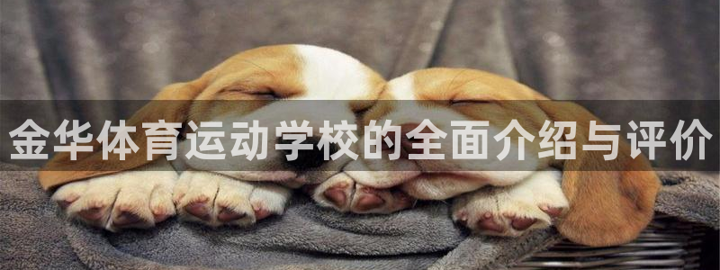 球派体育体育：金华体育运动学校的全面介绍与评价
