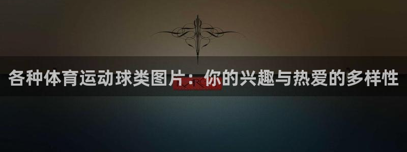 球派体育app官网：各种体育运动球类图片：你的兴趣与热爱的多样性